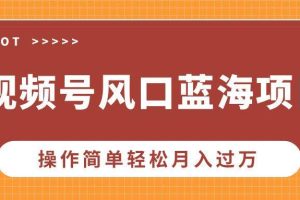 （13945期）视频号风口蓝海项目，中老年人的流量密码，操作简单轻松月入过万