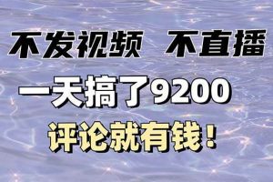 （14018期）不发作品不直播，评论就有钱，一条最高10块，一天搞了9200