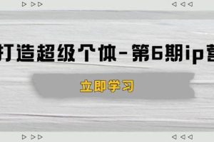 （14014期）打造 超级个体-第6期ip营：商业认知,产品设计,成交演练,解决知识变现难题
