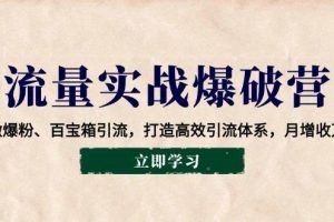 （14039期）流量实战爆破营：企微爆粉、百宝箱引流，打造高效引流体系，月增收万元