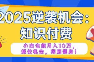 （14166期）2025逆袭项目——知识付费，小白也能月入10万年入百万，抓住机会彻底翻…