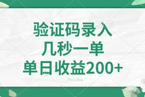 （14221期）验证码录入，几秒一单，单日收益200+