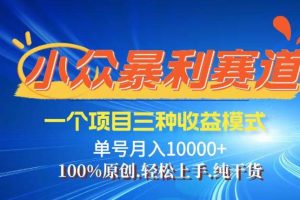 （14300期）【灵狐计划】视频号最新爆火赛道，三种收益模式，0粉新号条条热门原创…