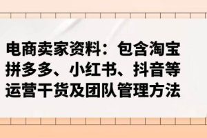 （14354期）电商卖家资料：包含淘宝、拼多多、小红书、抖音等运营干货及团队管理方法