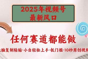 （14453期）2025年视频号新风口，低门槛只需要无脑执行