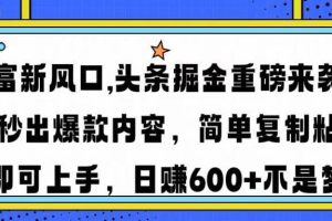 （14434期）财富新风口,头条掘金重磅来袭AI秒出爆款内容简单复制粘贴即可上手，日…
