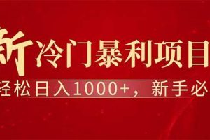 （14495期）全新项目，每天被动收益1000+，长期管道收益！