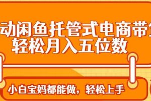 （14132期）全自动闲鱼托管式电商带货 轻松实现月入五位数