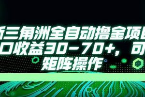 （14191期）最新三角洲全自动撸金项目，单窗口收益30-70+，可批量矩阵操作