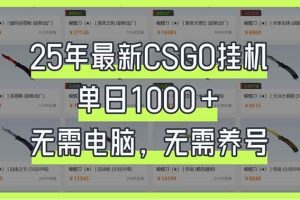 （14178期）25年最新CSGO挂机系统，单日1000+，无需电脑，无需养号，0基础可上手