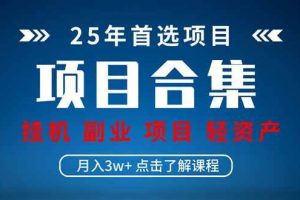 （14175期）2025 实操项目合集 挂机类型 直播类型 轻资产创业类型 课程分享各项目…