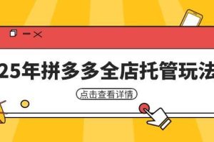 （14222期）25年拼多多全店托管玩法，矩阵动销裂变玩法如何低风险盈利 新手运营秘籍