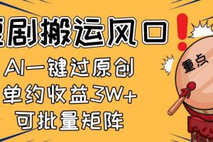 （14282期）2025短剧搬运风口！复制粘贴AI一键过原创，单月收益3W+，新手可矩阵放…