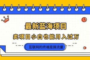 （14289期）2025年最新蓝海项目，卖项目小白也能月入过万
