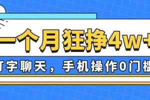 （14340期）一个月狂挣4w+，打字聊天，手机操作0门槛，新手小白都能做！