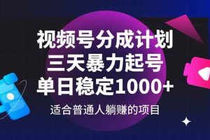 （14634期）视频号分成计划，三天暴力起号玩法 单日稳定1000+