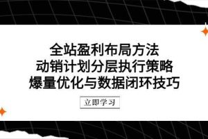 （14698期）全站盈利布局方法：动销计划分层执行策略，爆量优化与数据闭环技巧