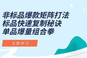 （15068期）非标品爆款矩阵打法，标品快速复制秘诀，单品爆量组合拳