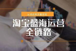 （15160期）淘宝蓝海运营全链路，从选品到流量变现，小类目突围完整方案