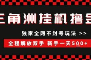 （15289期）三角洲全自动挂机，独家不封号玩法，单窗口20+，新手小白轻松一天500+，无脑搬砖
