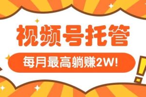（15331期）【视频号托管 】我提供视频，你每天５分钟复制发布，最高月入1W
