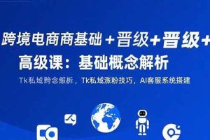 （15496期）跨境电商基础+晋级+高级课：基础概念解析,Tk私域涨粉技巧,AI客服系统搭建