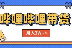 （15597期）B站哔哩哔哩带货秘籍，新风口，抢占红利，单月轻松破万【附SOP手册】