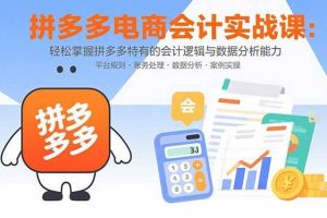 （15767期）拼多多电商会计实战课：轻松掌握拼多多特有的会计逻辑与数据分析能力