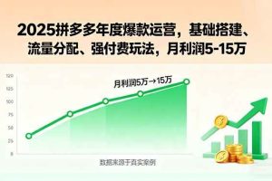 （15973期）2025拼多多年度爆款运营，基础搭建、流量分配、强付费玩法，月利润5-15万