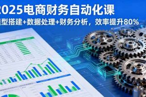 （16021期）2025电商财务自动化课，模型搭建+数据处理+财务分析，效率提升80%
