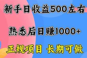 （16132期）新手日收益500+ 正规项目 长期可做