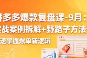（16176期）拼多多爆款复盘课-9月：实战案例拆解+野路子方法论，快速掌握爆单新逻辑