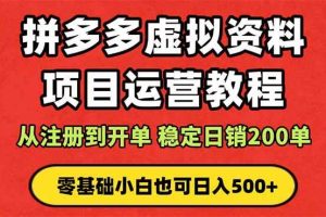 （16220期）拼多多开店运营课程： 蓝海变现玩法，轻松实现睡后收入 零基础小白也可…