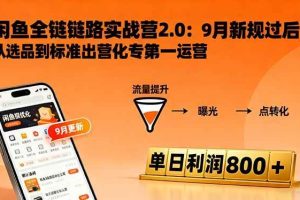 （16265期）闲鱼变现课3.0：掌握链接优化、流量提升、商业变现，单日利润800+