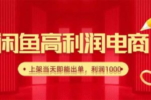 （16286期）闲鱼卖爆款货源，每天利润1000，上架即出单