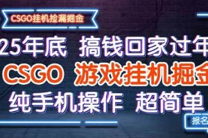 （16343期）25年底搞钱回家过年，CSGO游戏挂机掘金，纯手机操作超简单