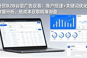 （16389期）外贸B2B谷歌广告获客：账户搭建+关键词优化+数据分析，低成本获取精准询盘