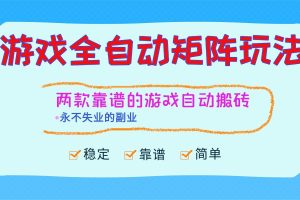 (16589期)游戏全自动矩阵玩法,日入1000+,永不失业的副业!