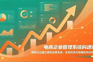 (16643期)电商企业管理系统构建课:帮助企业建立高效运营系统,实现利润与规模的同步跃升