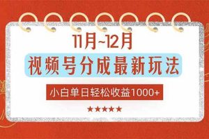 (16639期)11月~12月视频号分成最新玩法,小白单日轻松收益1000+