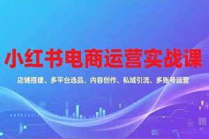(16695期)小红书电商运营实战课,店铺搭建、多平台选品、内容创作、私域引流、多账号运营等玩法