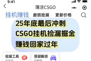 (16735期)12月年底抓紧最后一个月,用CSGO游戏挂机捡漏掘金赚钱掘金,一部手机轻松日入500+