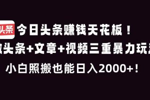（16888期）今日头条赚钱天花板！微头条+文章+视频三重暴利玩法，小白照搬也能日人2000+