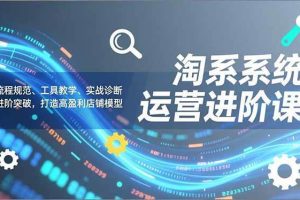 （16927期）淘系系统运营进阶课2.0，流程规范、工具教学、实战诊断，进阶突破，打造高盈利店铺模型