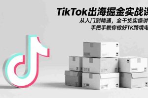 （17368期）TikTok出海掘金实战课：从入门到精通，全干货实操讲解，手把手教你做好TK跨境电商