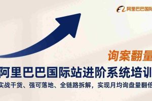 （17335期）阿里巴巴国际站进阶系统培训，实战干货、强可落地、全链路拆解，实现月均询盘量翻倍
