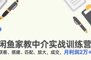 （17379期）闲鱼家教中介实战训练营，获客、搭建、匹配、放大，成交，月利润2万+