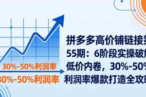 （17698期）拼多多高价铺链接第55期：6阶段实操破解低价内卷，30%-50%利润率爆款打造全攻略
