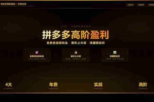 （17779期）拼多多高阶盈利年费会员：全类目活动玩法、原价上大促、洗图防比价等核心盈利技术(更新26年3月)