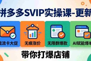 （17912期）拼多多SVIP实操课-26年4月，截流卡大促+无痕涨价+无限群爆款+AI赋能爆单新玩法，带你打爆店铺